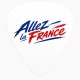 Pack de 10 médiators de guitare supporter France