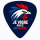 Pack de 10 médiators de guitare supporter France